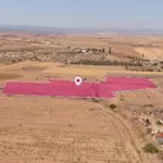 Industrial field in Astromeritis, Nicosia. — Nicosia, Astromeritis (3)