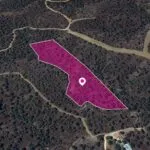 (Share) Agricultural field in Evrychou, Nicosia — Nicosia, Evrychou