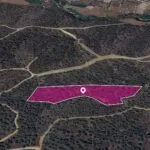 (Share) Agricultural field in Evrychou, Nicosia — Nicosia, Evrychou (2)