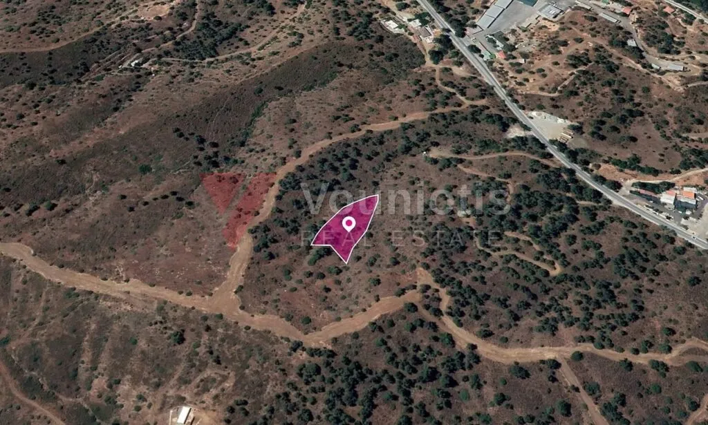 Field in Evrychou, Nicosia – photo 3
