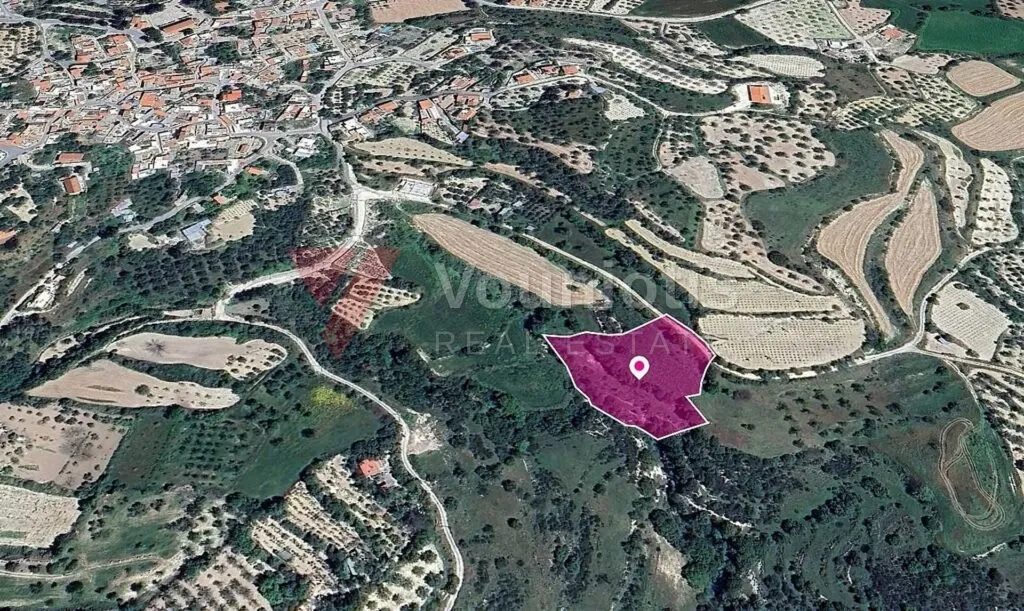 Agricultural Field in Kallepeia, Paphos – photo 3