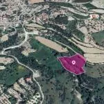 Agricultural Field in Kallepeia, Paphos — Paphos, Kallepeia (3)