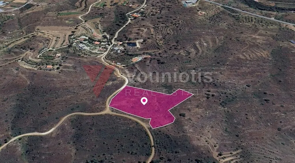 (שתף) שדה מניות חי בקאלו צ'וריו אוריניס, ניקוסיה - תמונה 2