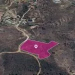 (Share) Live stock field in Kalo Chorio Oreinis, Nicosia — Nicosia, Kalo Chorio Oreinis (2)