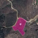 (Share) Live stock field in Kalo Chorio Oreinis, Nicosia — Nicosia, Kalo Chorio Oreinis (3)
