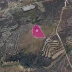 (Share) Agricultural Field in Kalo Chorio Oreinis, Nicosia — Nicosia, Kalo Chorio Oreinis (2)