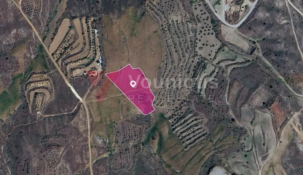 (Share) Agricultural Field in Kalo Chorio Oreinis, Nicosia – photo 3