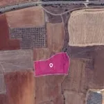 Agricultural Field in Kato Koutrafas, Nicosia — Nicosia, Kato Koutrafas