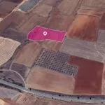 Agricultural Field in Kato Koutrafas, Nicosia — Nicosia, Kato Koutrafas (2)