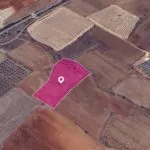 Agricultural Field in Kato Koutrafas, Nicosia — Nicosia, Kato Koutrafas (3)