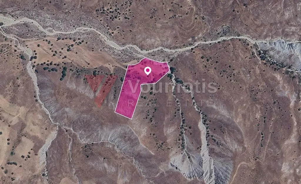 Agricultural/Special Protection Field in Kelokedara, Paphos – photo 2