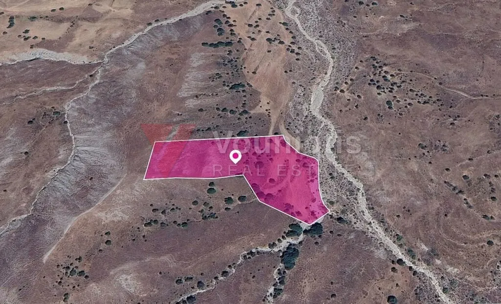 Agricultural/Special Protection Field in Kelokedara, Paphos – photo 4