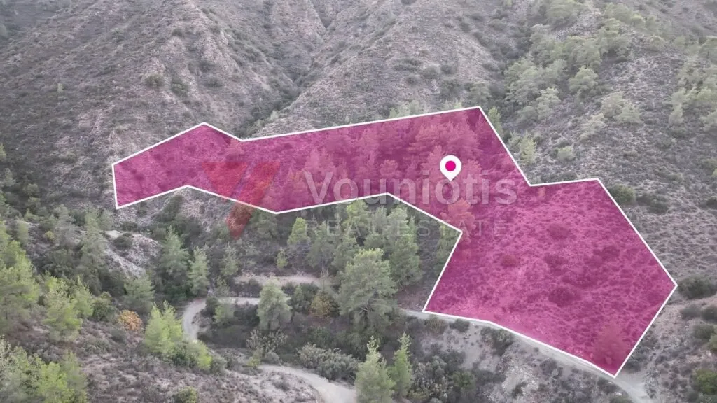 Special Protecion field Dierona, Limassol – photo 2
