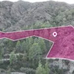 Special Protecion field Dierona, Limassol — Limassol (4)
