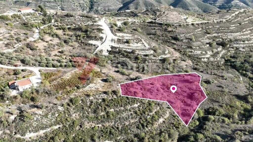 Residential Field Vouni, Limassol – photo 6