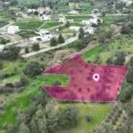 Residential field located in Lythrodontas, Nicosia — Nicosia, Lythrodontas (2)