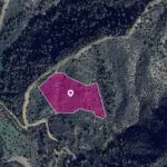 (Share) Special Protection Zoned Field in Lythrodontas, Nicosia. — Nicosia, Lythrodontas (2)
