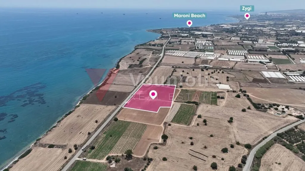 Field in Maroni, Larnaca – photo 2