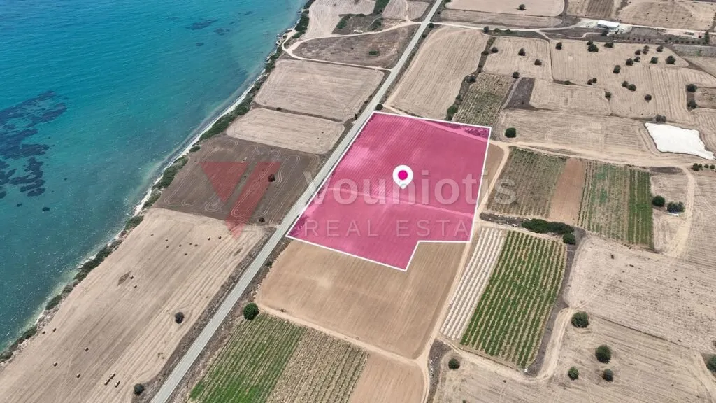 Field in Maroni, Larnaca – photo 4