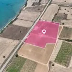 Field in Maroni, Larnaca — Larnaca, Maroni (4)