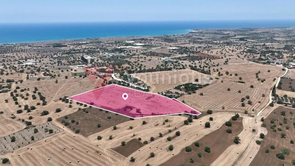 Agricultural field in Mazotos, Larnaca – photo 2