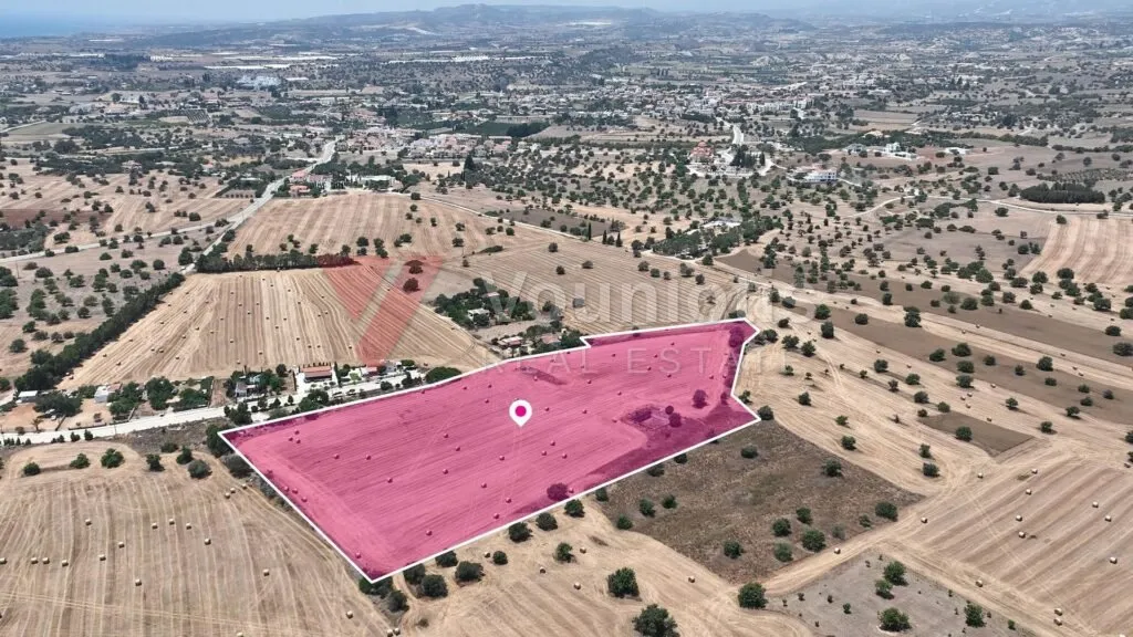 Agricultural field in Mazotos, Larnaca – photo 3