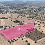 Agricultural field in Mazotos, Larnaca — Larnaca, Mazotos (3)
