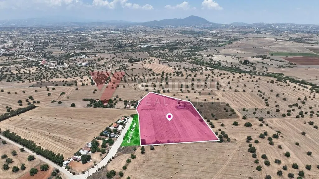 Agricultural field in Mazotos, Larnaca – photo 4