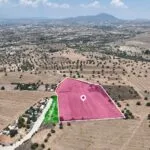 Agricultural field in Mazotos, Larnaca — Larnaca, Mazotos (4)