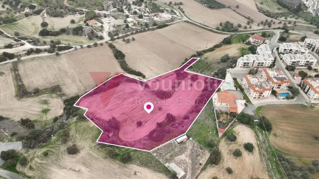 Residential field in Mazotos, Larnaca – photo 7