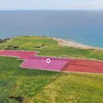 Seaview Field in Mazotos, Larnaca — Larnaca, Mazotos (2)