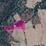 Field, Mousere, Paphos — Paphos, Mousere