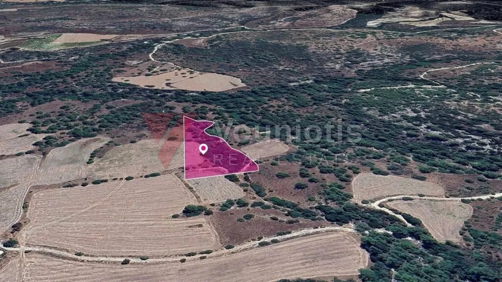 Field, Mousere, Paphos – photo 2