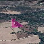 Field, Mousere, Paphos — Paphos, Mousere (2)