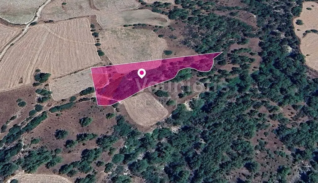 Field, Mousere, Paphos – photo 3