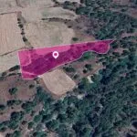 Field, Mousere, Paphos — Paphos, Mousere (3)