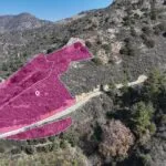 Three residential and agricultural fields located in Nicosia, Moutoullas. — Nicosia, Moutoullas (3)