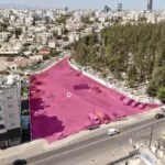 Commercial (Share 16%) and residential (share 50%) fields in Nicosia — Nicosia (2)