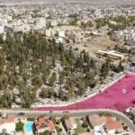 Commercial (Share 16%) and residential (share 50%) fields in Nicosia — Nicosia (4)
