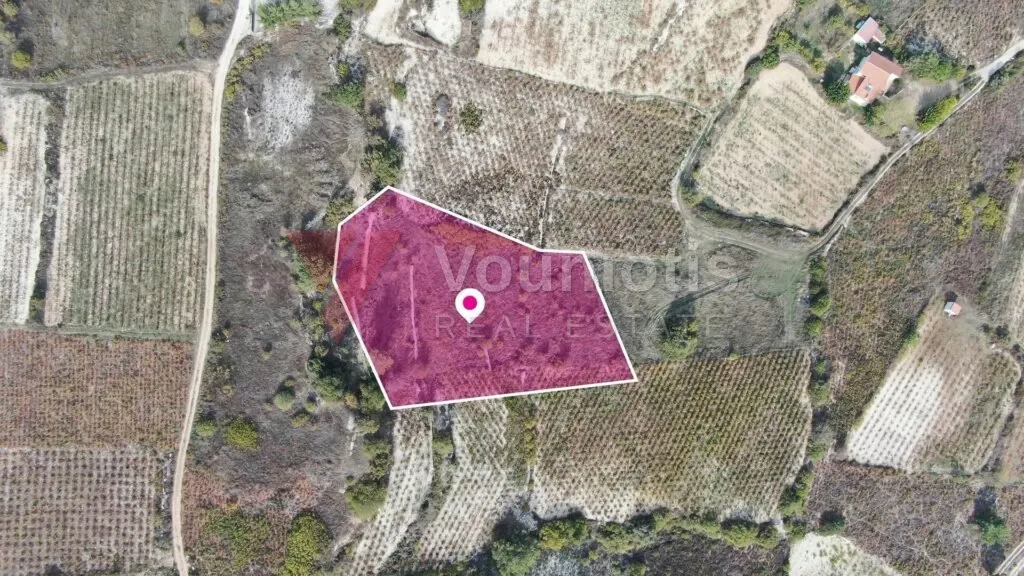 Residential Field, Omodos, Limassol – photo 4