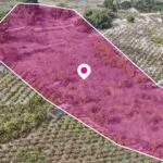 Residential Field, Omodos, Limassol — Limassol, Omodos (5)