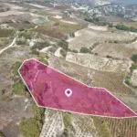 Residential Field, Omodos, Limassol — Limassol, Omodos (6)