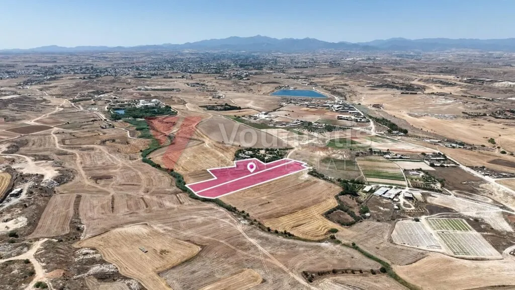 Two adjacent agricultural fields in Pano Deftera, Nicosia – photo 4