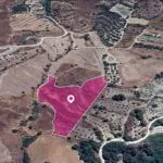 Agricultural field, Pano Panagia, Paphos — Paphos, Pano Panagia