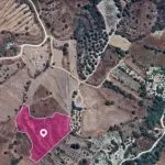 Agricultural field, Pano Panagia, Paphos — Paphos, Pano Panagia (3)