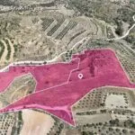 Two adjacent Agricultural Fields in Pera, Nicosia — Nicosia, Pera