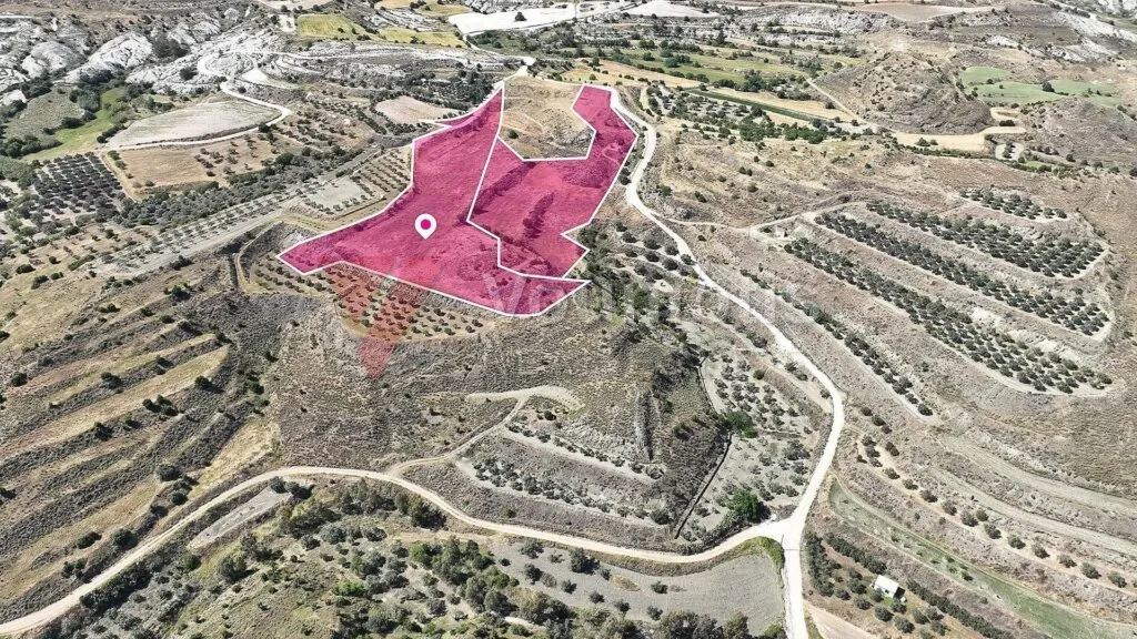 Two adjacent Agricultural Fields in Pera, Nicosia – photo 2