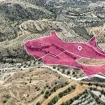 Two adjacent Agricultural Fields in Pera, Nicosia — Nicosia, Pera (3)