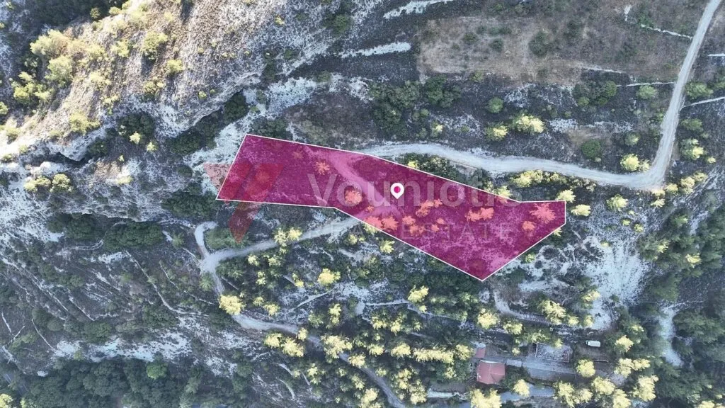 Residential Field in Pera Pedi, Limassol – photo 4
