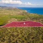 Touristic Zoned Field in Pissouri, Limassol — Limassol, Pissouri
